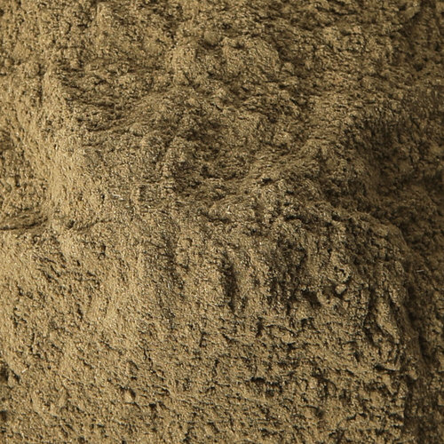 케이웰니스 국내산 엉겅퀴분말 250g x 5